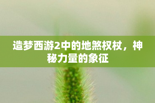 造梦西游2中的地煞权杖，神秘力量的象征