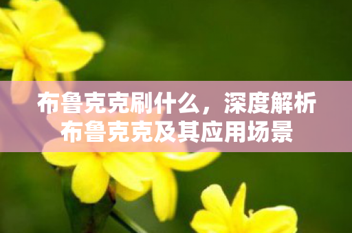 布鲁克克刷什么,深度解析布鲁克克及其应用场景 布鲁克克刷什么,深度解析布鲁克克及其应用场景