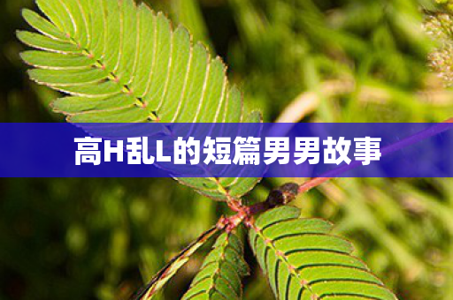高H乱L的短篇男男故事