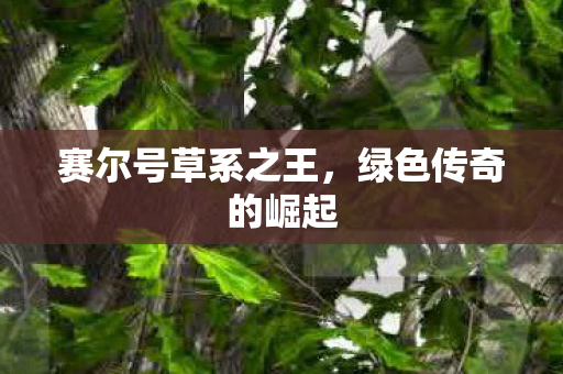 赛尔号草系之王,绿色传奇的崛起 赛尔号草系之王,绿色传奇的崛起