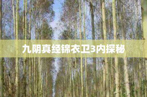 九阴真经锦衣卫3内探秘