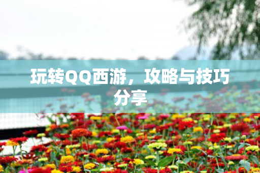 玩转QQ西游，攻略与技巧分享