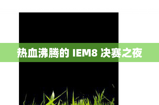 热血沸腾的 IEM8 决赛之夜 热血沸腾的 IEM8 决赛之夜