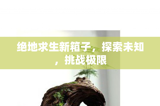 绝地求生新箱子，探索未知，挑战极限