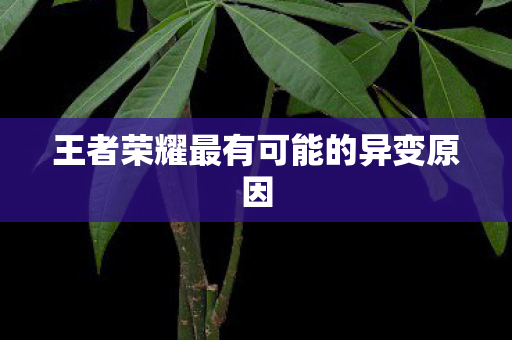 王者荣耀最有可能的异变原因