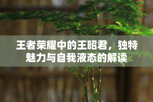 王者荣耀中的王昭君,独特魅力与自我液态的解读 王者荣耀中的王昭君,独特魅力与自我液态的解读