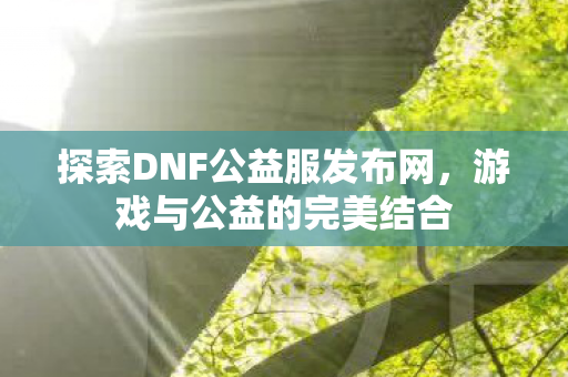 探索DNF公益服发布网，游戏与公益的完美结合