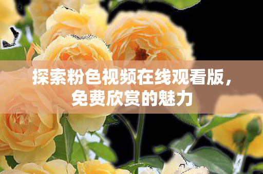 探索粉色视频在线观看版，免费欣赏的魅力