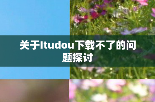 关于Itudou下载不了的问题探讨