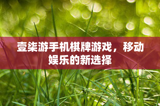 壹柒游手机棋牌游戏，移动娱乐的新选择
