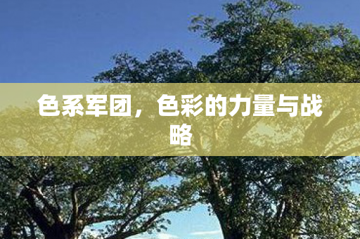 色系军团，色彩的力量与战略