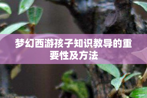 梦幻西游孩子知识教导的重要性及方法
