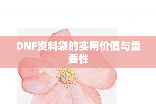 DNF资料袋的实用价值与重要性