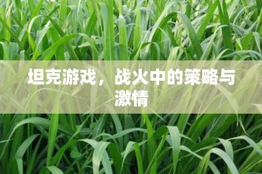坦克游戏，战火中的策略与激情