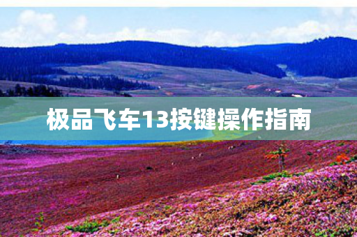 极品飞车13按键操作指南