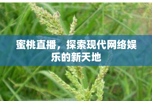 蜜桃直播，探索现代网络娱乐的新天地