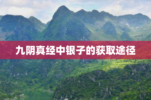 九阴真经中银子的获取途径 九阴真经中银子的获取途径