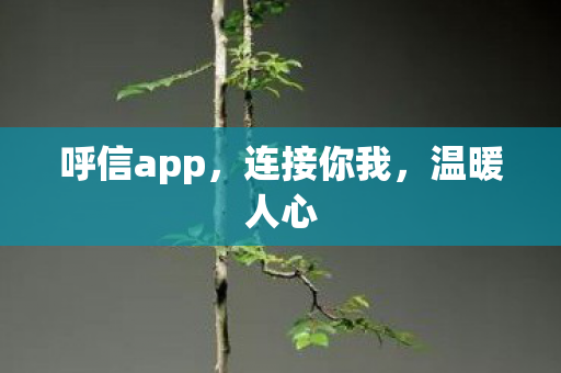 呼信app，连接你我，温暖人心