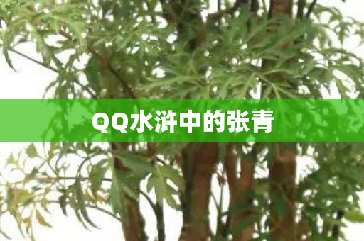 QQ水浒中的张青