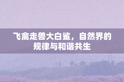 飞禽走兽大白鲨，自然界的规律与和谐共生