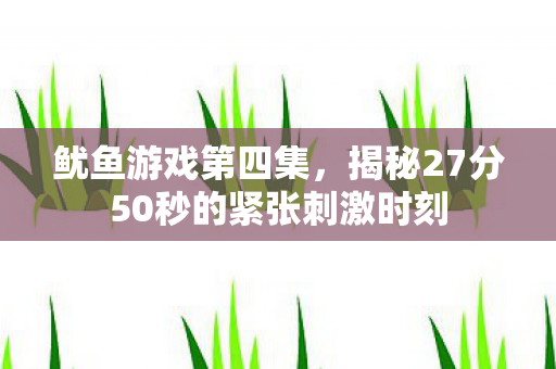 鱿鱼游戏第四集，揭秘27分50秒的紧张刺激时刻