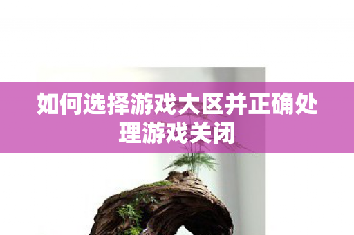如何选择游戏大区并正确处理游戏关闭
