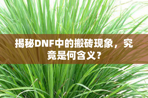 揭秘DNF中的搬砖现象，究竟是何含义？