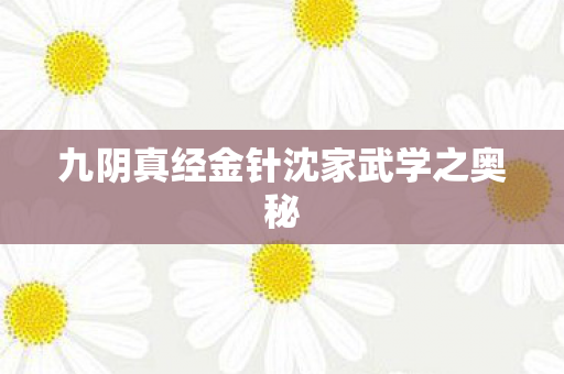 九阴真经金针沈家武学之奥秘