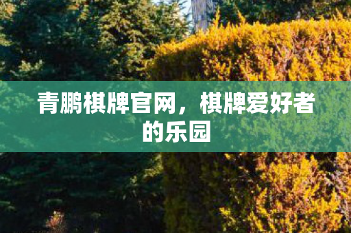 青鹏棋牌官网，棋牌爱好者的乐园