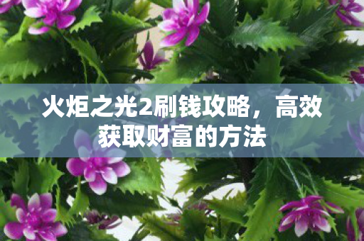 火炬之光2刷钱攻略，高效获取财富的方法