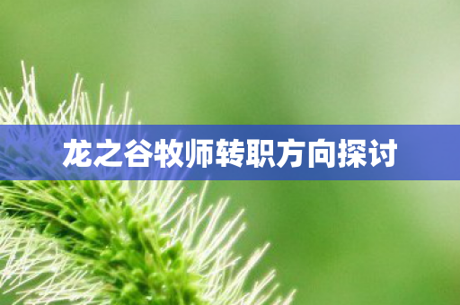 龙之谷牧师转职方向探讨