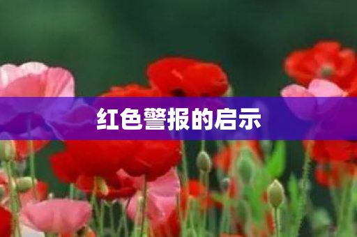 红色警报的启示 红色警报的启示