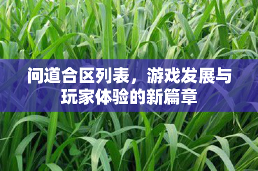 问道合区列表，游戏发展与玩家体验的新篇章