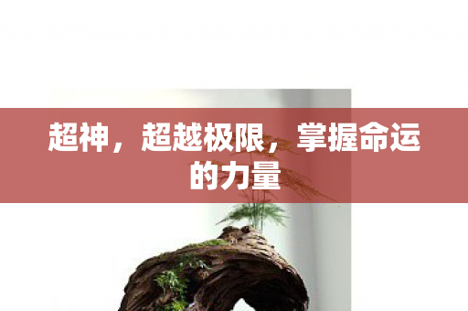 超神,超越极限,掌握命运的力量 超神,超越极限,掌握命运的力量