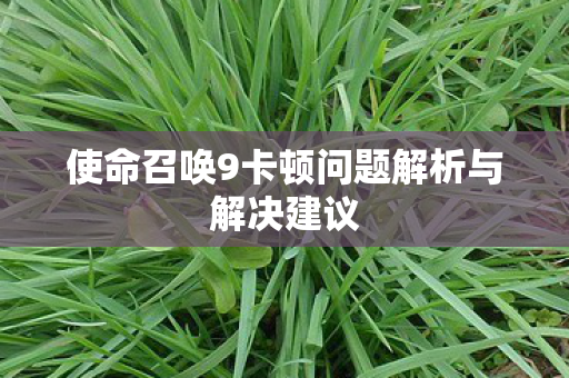 使命召唤9卡顿问题解析与解决建议