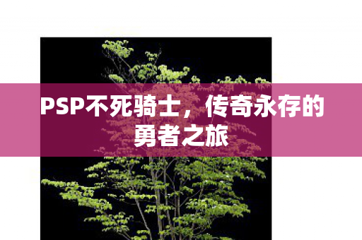 PSP不死骑士，传奇永存的勇者之旅