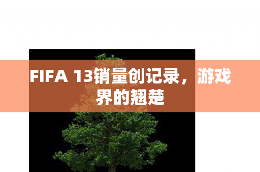 FIFA 13销量创记录，游戏界的翘楚