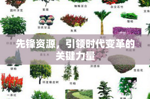 先锋资源，引领时代变革的关键力量