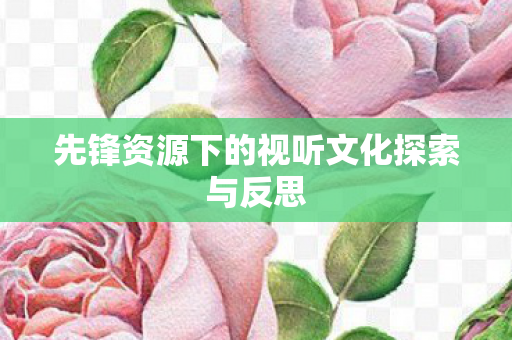 先锋资源下的视听文化探索与反思 先锋资源下的视听文化探索与反思