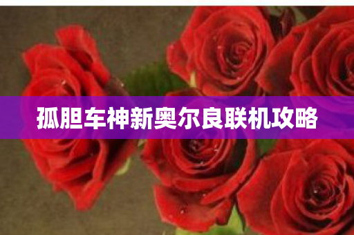 孤胆车神新奥尔良联机攻略