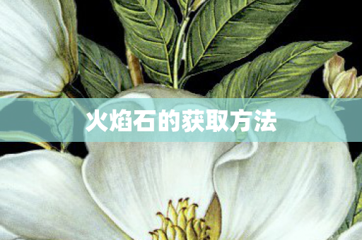 火焰石的获取方法