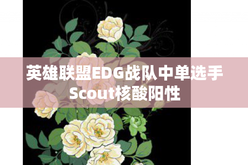 英雄联盟EDG战队中单选手Scout核酸阳性