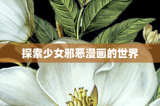 探索少女邪恶漫画的世界