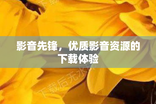 影音先锋，优质影音资源的下载体验