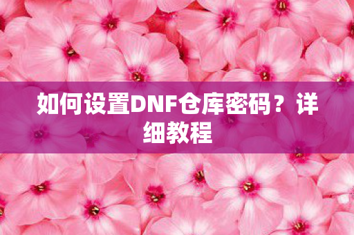 如何设置DNF仓库密码？详细教程