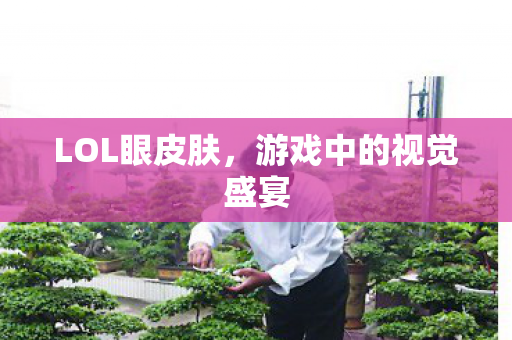 LOL眼皮肤,游戏中的视觉盛宴 LOL眼皮肤,游戏中的视觉盛宴