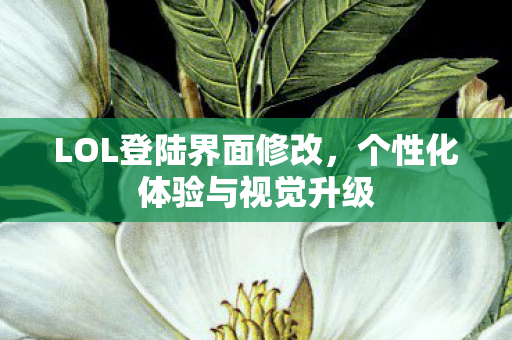 LOL登陆界面修改，个性化体验与视觉升级