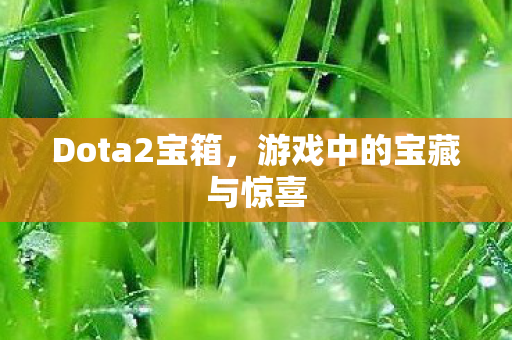 Dota2宝箱，游戏中的宝藏与惊喜