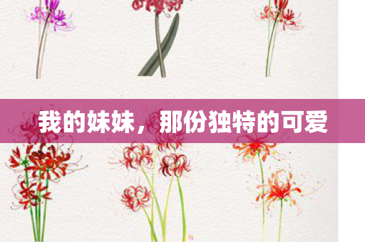 我的妹妹，那份独特的可爱