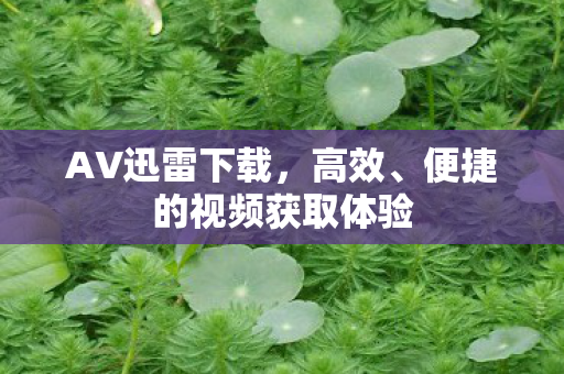 AV迅雷下载，高效、便捷的视频获取体验